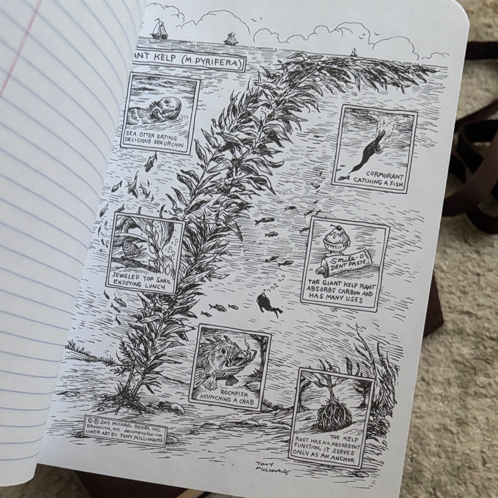 Decomposition notebook - Picture 5 of 5